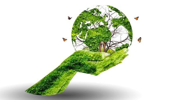 Sustainability-